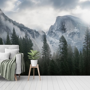 Winter Forest Mountain Landscape Wallpaper - Peel and Stick Wall Mural