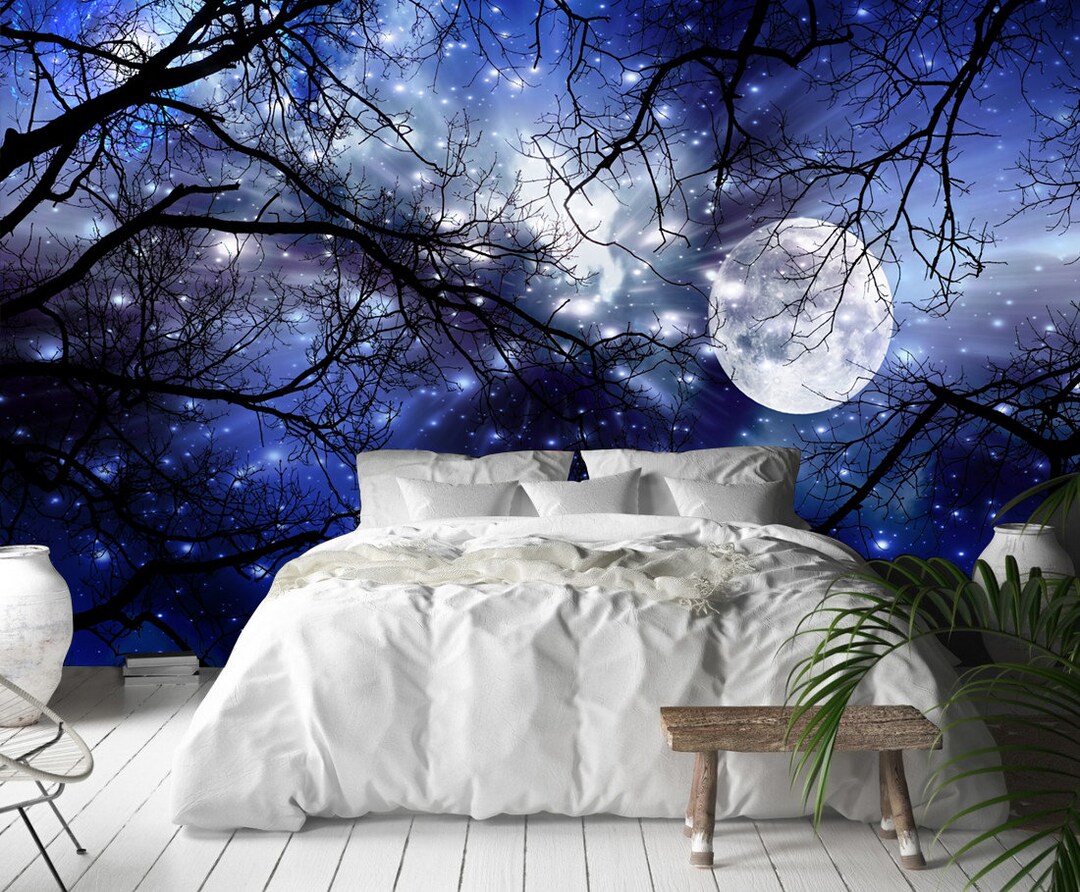 Night Sky Wallpaper Mural: Peel and Stick Landscape Wall Art - Etsy