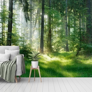 May include: A forest scene wallpaper with a sofa, cushions, and a blanket. A potted plant sits on a wooden stand. The wallpaper depicts a lush green forest with sunlight streaming through the trees.