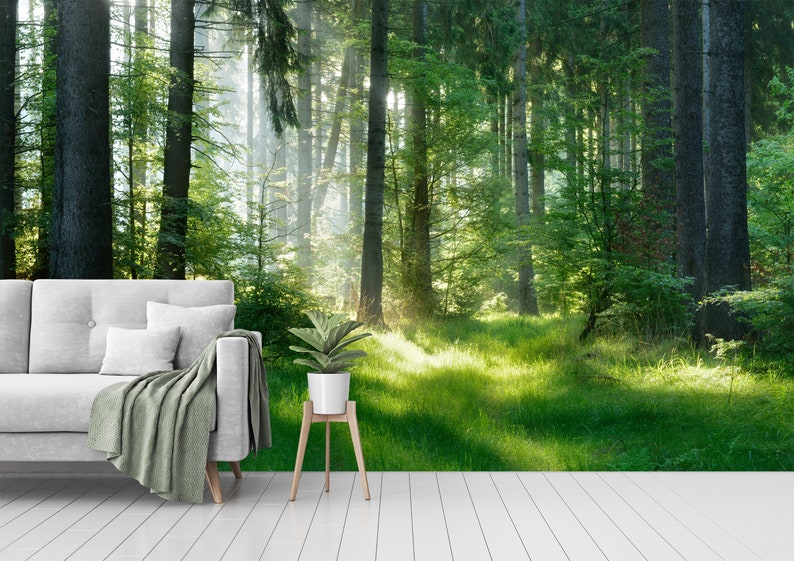 May include: A forest scene wallpaper with a sofa, cushions, and a blanket. A potted plant sits on a wooden stand. The wallpaper depicts a lush green forest with sunlight streaming through the trees.