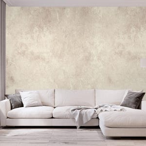 Anthracite Concrete Texture Wallpaper - Vintage Peel and Stick Wall Mural