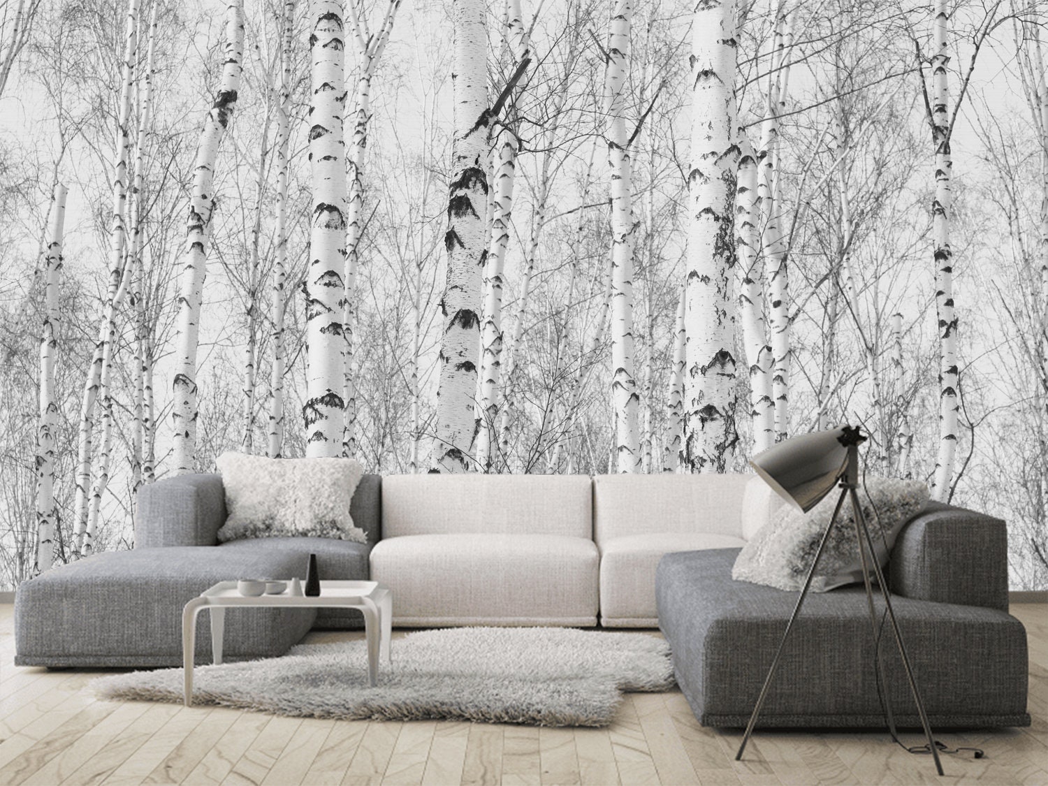 Birch Forest Wallpaper Mural: Black and White Fog, Peel and Stick - Etsy
