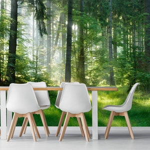 May include: A dining table and six white chairs with wooden legs. The backdrop is a forest scene with tall trees and sunlight filtering through the leaves, creating a bright and airy atmosphere. The table is made of wood.