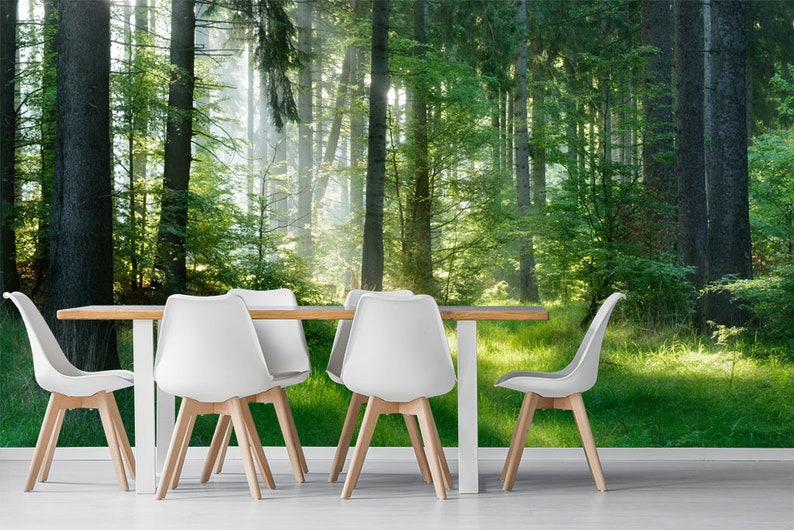 May include: A dining table and six white chairs with wooden legs. The backdrop is a forest scene with tall trees and sunlight filtering through the leaves, creating a bright and airy atmosphere. The table is made of wood.