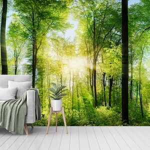 Carta da parati in tessuto rimovibile Sunray Spring Forest, carta da parati grande, carta da parati autoadesiva, peel & stick, dimensioni personalizzate