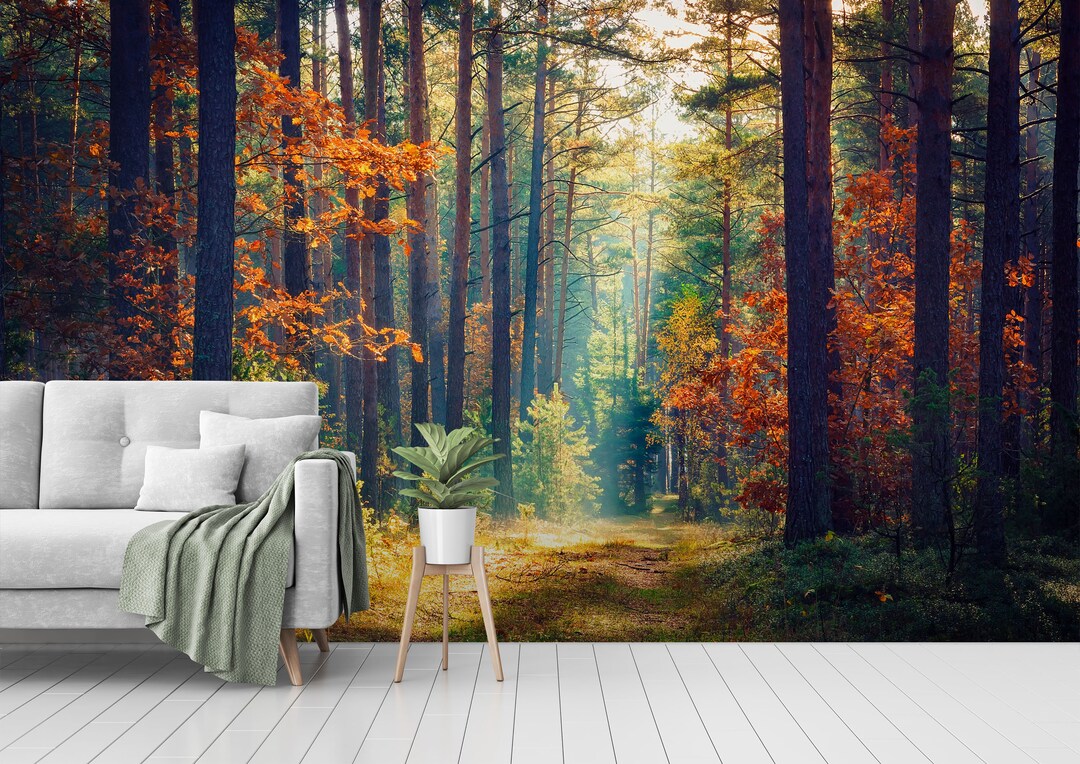 Autumn Forest Wallpaper Mural: Peel and Stick Removable Wall Art - Etsy