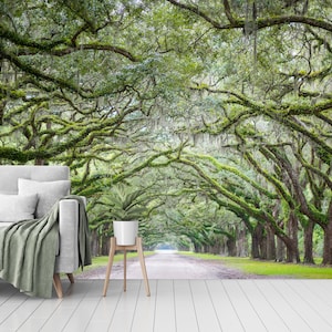Old Oak Trees Peel and Stick Wall Mural - Papier peint amovible auto-adhésif pour papier peint de salon Taille personnalisable