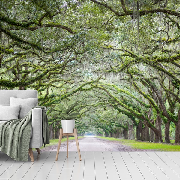 Old Oak Trees Peel and Stick Wall Mural - Self Adhesive Wall Art  Removable Wallpaper for living room wallpaper Customizable size