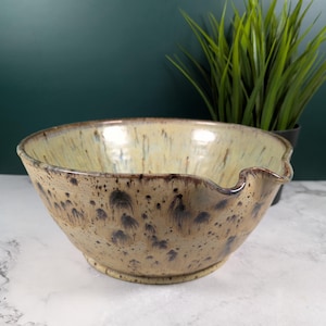 Peut inclure: Un saladier en céramique mouchetée avec un bec verseur. Le bol a une couleur de base beige avec des mouchetures marron foncé et bleues. Le bord et le bec sont d'un brun plus foncé. Une plante verte est en arrière-plan.