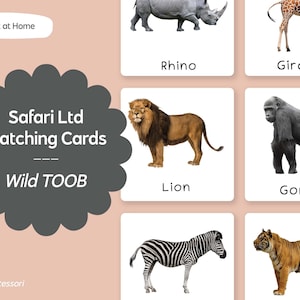 Animaux sauvages TOOB - Safari LTD, cartes linguistiques Montessori assorties - imprimables