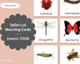 Insects TOOB - Safari LTD Matching Montessori Language Cards - Printable