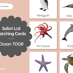 Ocean TOOB - Safari LTD, cartes linguistiques Montessori assorties - imprimables