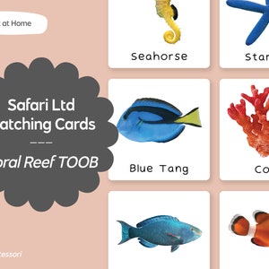 Récif de corail TOOB - Safari LTD, cartes linguistiques Montessori assorties - Imprimable