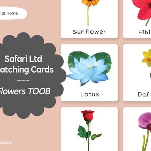 Flowers TOOB - Safari LTD Matching Montessori Language Cards Printable ...
