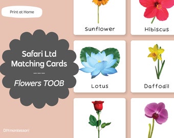 Flowers TOOB - Safari LTD Matching Montessori Language Cards Printable