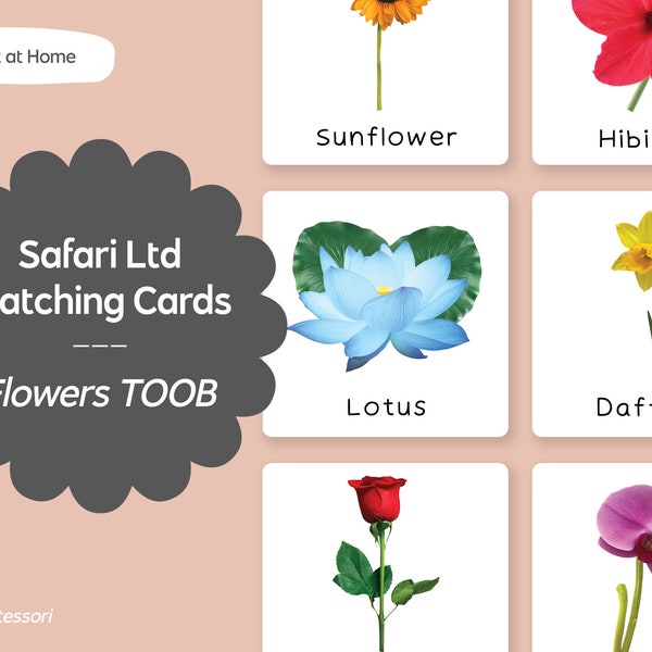 Flowers TOOB - Safari LTD Matching Montessori Language Cards Printable