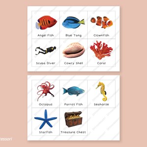 Coral Reef TOOB - Safari LTD Matching Montessori Language Cards ...