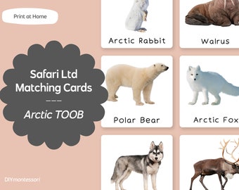 Arctic Animals TOOB - Safari LTD Matching Montessori Language Cards - Printable