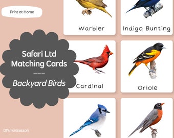 Backyard Birds TOOB - Safari LTD Matching Montessori Language Cards - Printable