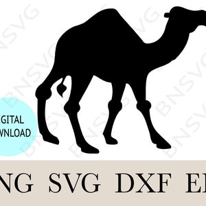 Camel Black Vector Silhouette, Camel Image Eps, dxf, png, Camel EPS, Cut files, layered, Minimalist, Cricut, Silhouette, Clipart,Vinyl decal