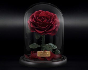 Preserved Rose in Glass Dome, Classic Rose Dome, Single Rose, Infinity Roses, Eternal Roses, Eternity Roses, Forever Roses.
