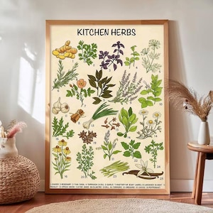 Könnte beinhalten: Ein gerahmter Kunstdruck mit dem Titel KITCHEN HERBS, der fünfundzwanzig nummerierte botanische Illustrationen verschiedener Kräuter und Gewürze wie Ingwer, Rosmarin, Knoblauch und Vanille auf hellem cremefarbenem Grund zeigt.