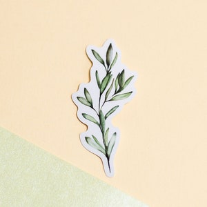 Olivenblätter Vinyl Aufkleber - Minimalistische Aquarell Illustration - Pflanzen Aufkleber