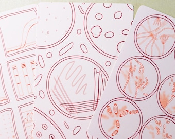 Wissenschaft Grußkarten | Mikrobiologie und Molekularbiologie | Nerdiges Briefpapier für Naturforscher und MINT-Studenten