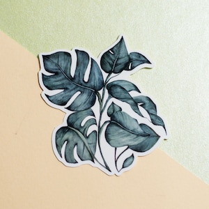 Monstera Pflanzen Aufkleber - Vinyl Aufkleber für Laptop/Telefon etc - Glänzender Vinyl Aufkleber - Pflanzen Kunst - Vismirell