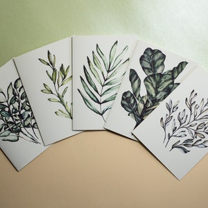 Set di 5 biglietti d'auguri botanici - Arte vegetale ispirata alla natura - Biglietti vuoti con buste - Cancelleria ecologica di Vismirell
