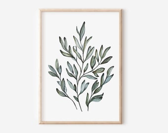 Akwarela z gałązką oliwną: Plakat z rośliną botaniczną