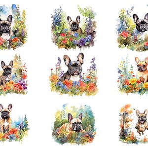 Watercolor French Bulldog Clipart Bundle Wall Art Instant Download Sublimation Designs Digital Download Png Files Digital Print image 3