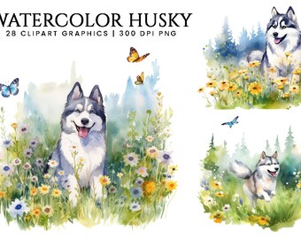 Watercolor Husky Clipart Bundle Digital Print Wall Art Instant Download Sublimation Designs Digital Download Png Files Digital Print