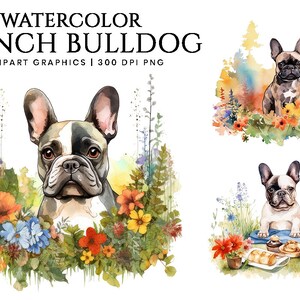 Watercolor French Bulldog Clipart Bundle Wall Art Instant Download Sublimation Designs Digital Download Png Files Digital Print image 1