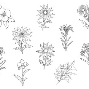 39 Line Art Australian Native Flowers Clipart Bundle Instant Download, Sublimation Designs, Digital Download, Printable Art, Digital Print image 3