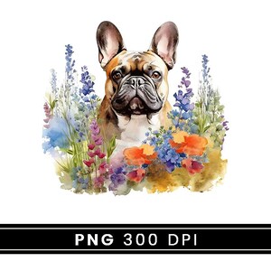 Watercolor French Bulldog Clipart Bundle Wall Art Instant Download Sublimation Designs Digital Download Png Files Digital Print image 5