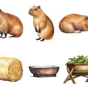 Watercolor Capybara Clipart Bundle Digital Download, Sublimation ...