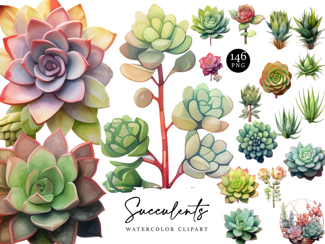 146 Watercolor Succulents Clipart Bundle Sublimation Designs, Instant ...