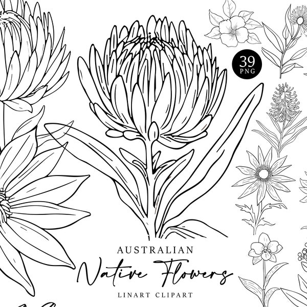 Australian Native Print Etsy Australia