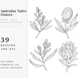 39 Line Art Australian Native Flowers Clipart Bundle Instant Download, Sublimation Designs, Digital Download, Printable Art, Digital Print image 1