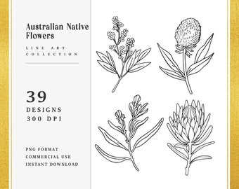 Line Art Australian Native Flowers Clipart Bundle Instant Download, Sublimation Designs, Digital Download, Printable Art, Digital Print