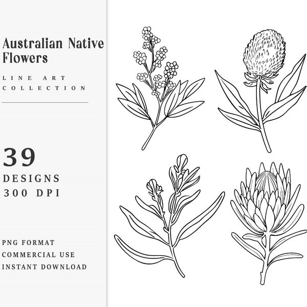 39 Line Art Australian Native Flowers Clipart Bundle Instant Download, Sublimation Designs, Digital Download, Printable Art, Digital Print