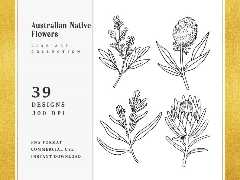 39 Line Art Australian Native Flowers Clipart Bundle Instant Download, Sublimation Designs, Digital Download, Printable Art, Digital Print image 1