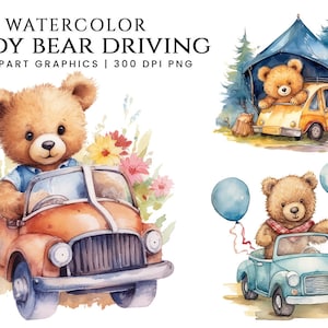 Postkarte Teddy fährt Auto
