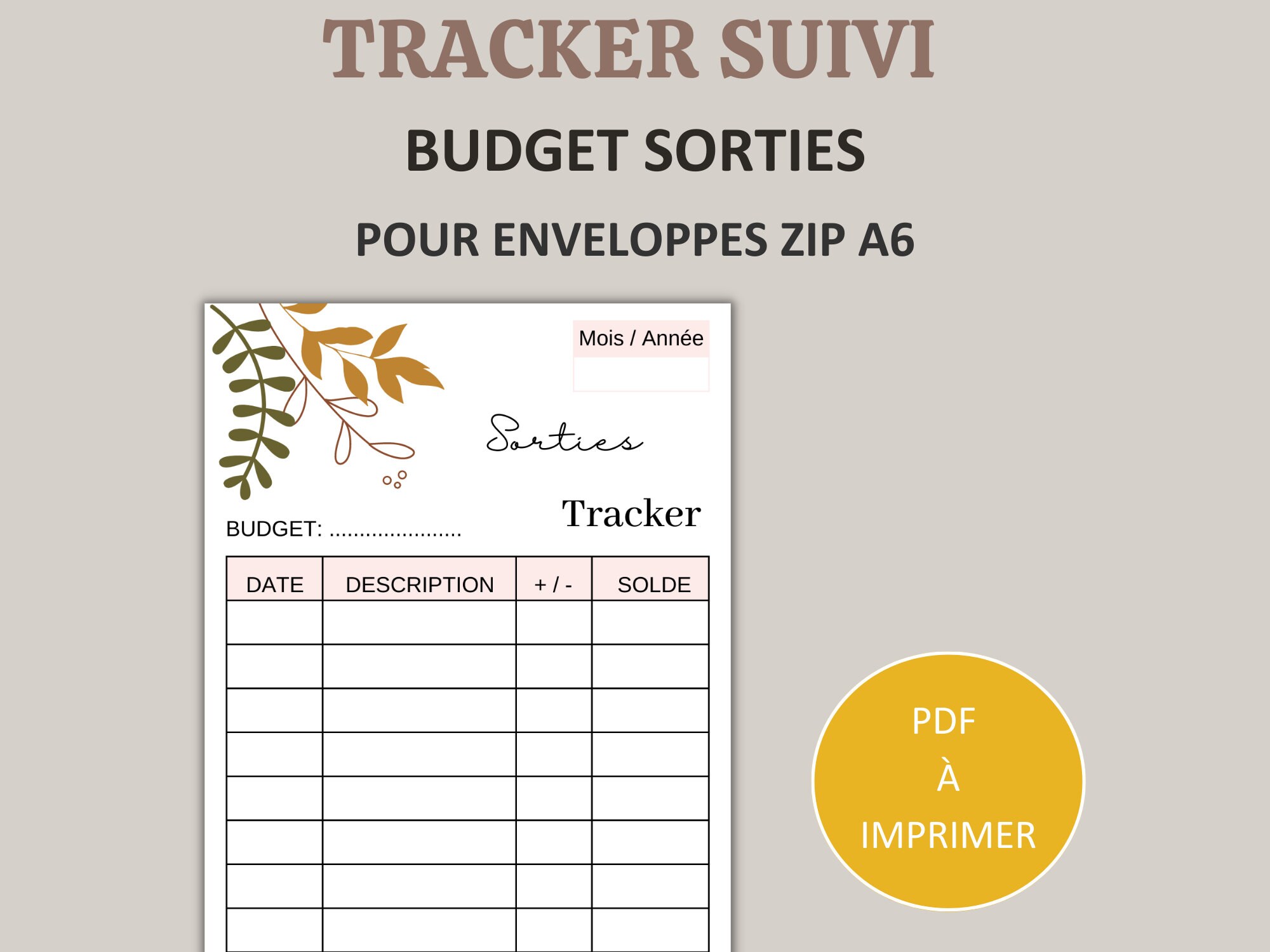 Budget planner enveloppe: Carnet de gestion bugdétaire par la technique des  enveloppes (French Edition)