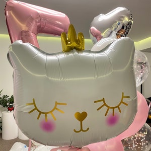 Palloncino in foil Cat Princess/Cat Princess da 26″/66 cm, regalo di compleanno