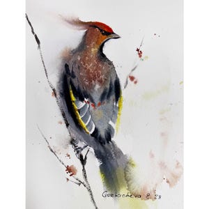 Dipinto ad acquerello di un uccello beccofrusone - Piccola e vivace arte per gli amanti della fauna selvatica