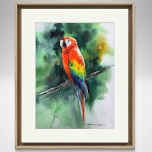 Colorful Ara Parrot Watercolor Painting - Unique Original Art