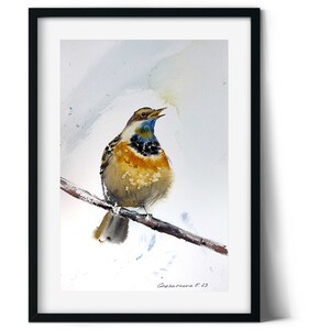 Opera d'arte di uccelli stravaganti - Dipinto ad acquerello originale, decorazione giocosa per la cameretta dei bambini, regalo adorabile per gli ammiratori della natura