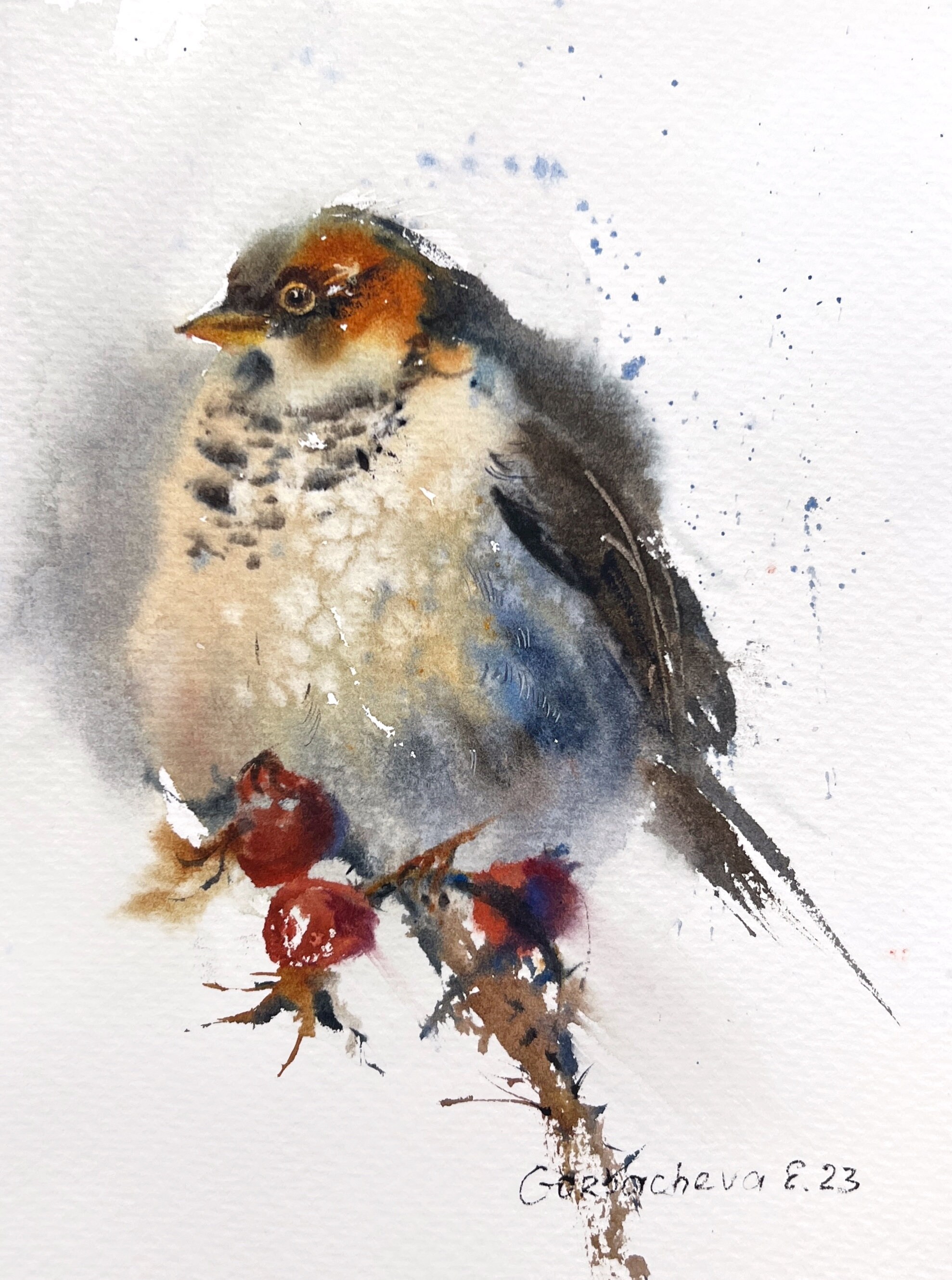 水彩画 鳥の絵 オリジナル水彩画「鳥の絵：灰色の鳥と赤いベリー」7x9インチ - Etsy 日本
